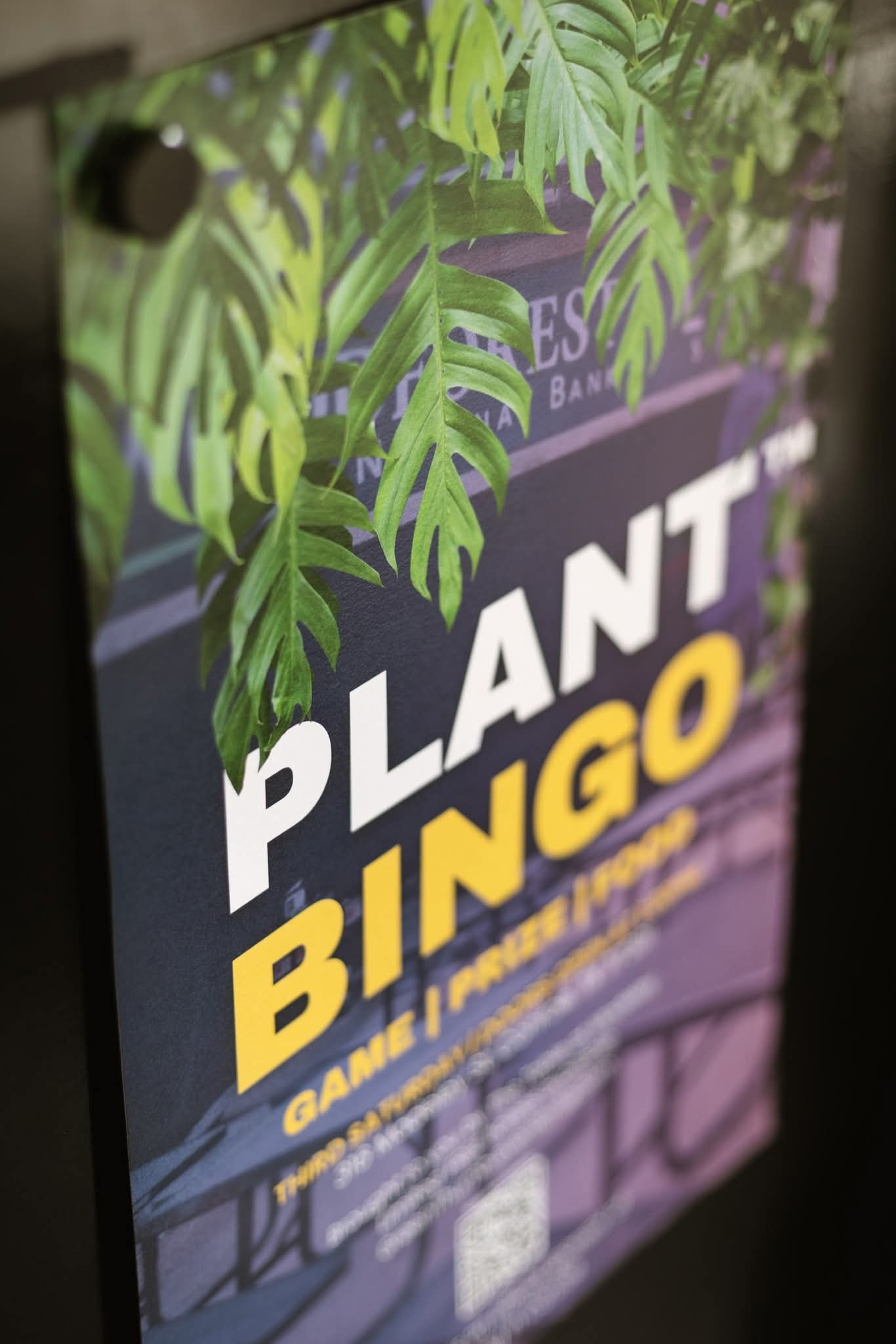 Plant Bingo Conroe